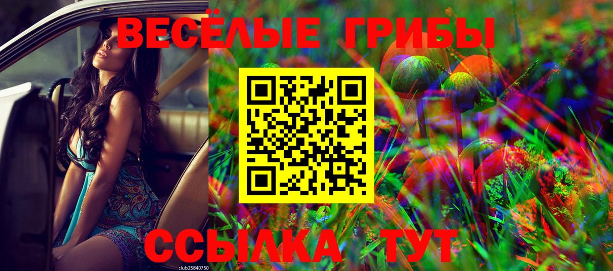 Лесной  Галлюциногенные грибы мухоморы  Вход с VPN 