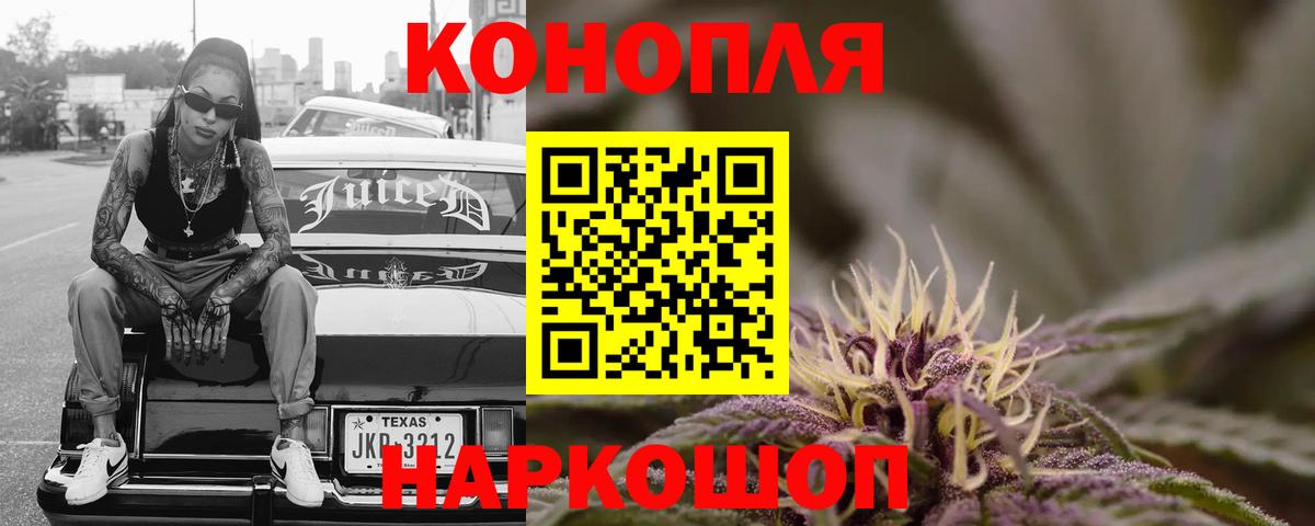Конопля MAZAR  Вход с VPN  Бошки Шишки план  Лесной  Конопля индика 
